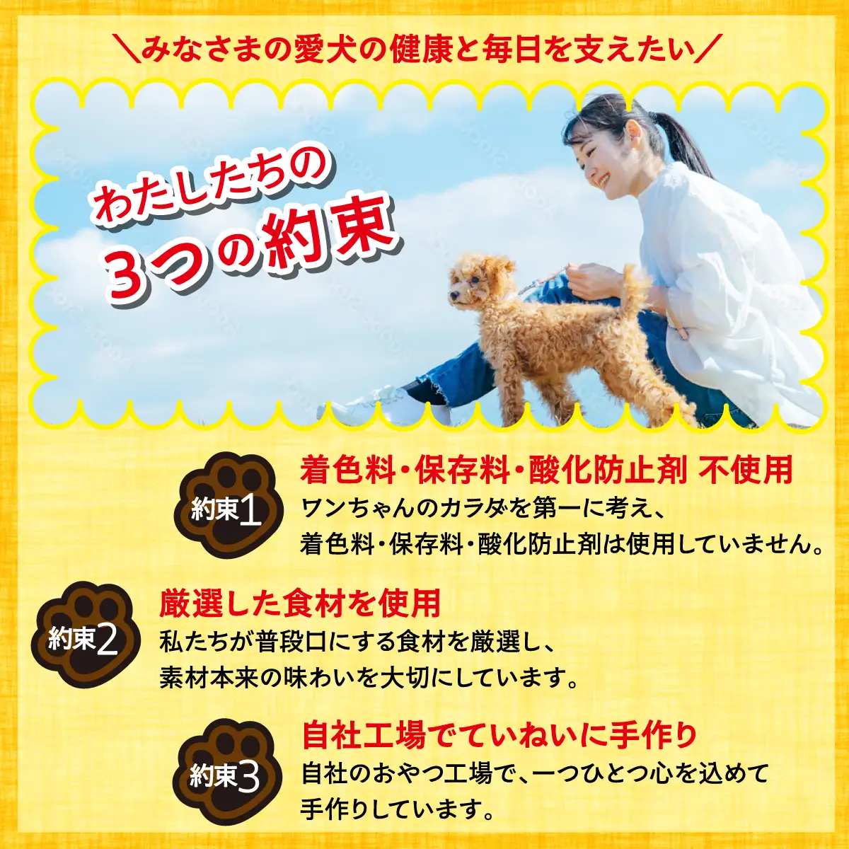 【無添加・ドッグフード】 鴨のボーンブロス レトルト スープ 480ml (160ml×3袋) | 株式会社wan-site | 国産 手作り 無添加 わんちゃん 犬 ペットフード おやつ ペット用品 ペット ヘルシー 高タンパク 人気 ご褒美 鴨【1497637】