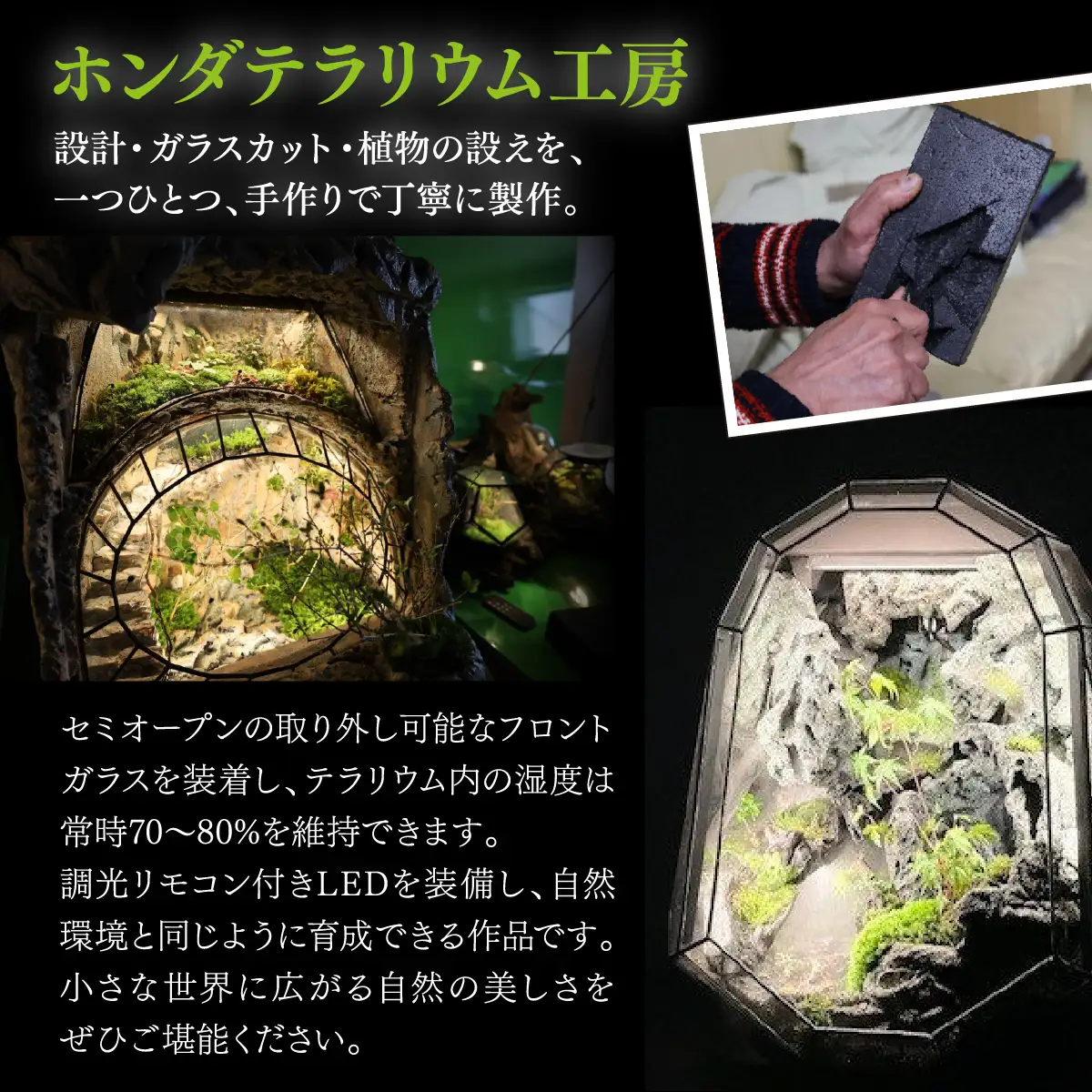 苔テラリウム | ホンダテラリウム工房 | 62面体 インテリア 和モダン 観葉植物 盆 一点もの アート作品 ハンドメイド 手作り LEDライト付き ガラス容器 癒し リラクゼーション ミニチュア ジオラマ おしゃれ ギフト | 大阪府 能勢町 送料無料