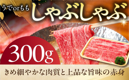 《冷蔵》 【A5等級】 飛騨牛 うでorもも しゃぶしゃぶ 300g 多治見市 / 肉の沖村 A5 牛肉 ギフト 贈り物[THI007]