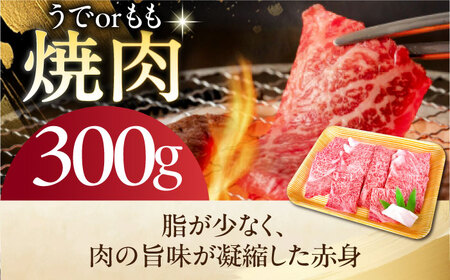 《冷蔵》 【A5等級】 飛騨牛 うでorもも 焼肉 300g 多治見市 / 肉の沖村 A5 牛肉 ギフト 贈り物[THI016]