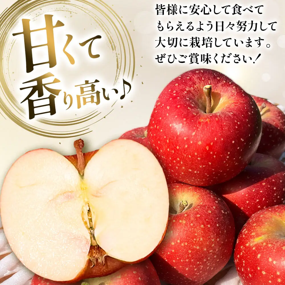 【26年10月下旬～発送】りんご 千雪 約10kg カワムラファーム【家庭用】青森 果物 フルーツ 林檎 リンゴ くだもの