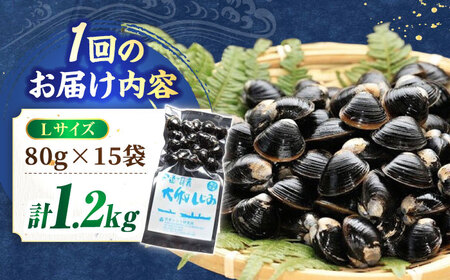 しじみ 【全6回定期便】生産量日本一！宍道湖産 ヤマトシジミLサイズ（真空冷凍） 80g×15袋 島根県松江市/有限会社日本シジミ研究所[ALBS007] しじみ しじみ