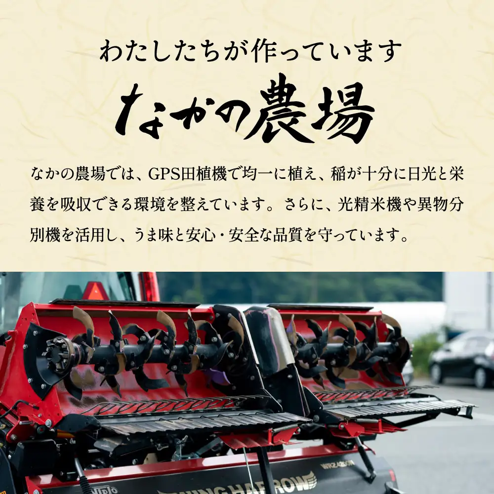 丹波産コシヒカリ 白米 5kg 〈発送直前精米〉〈丹波市〉 お米 白米