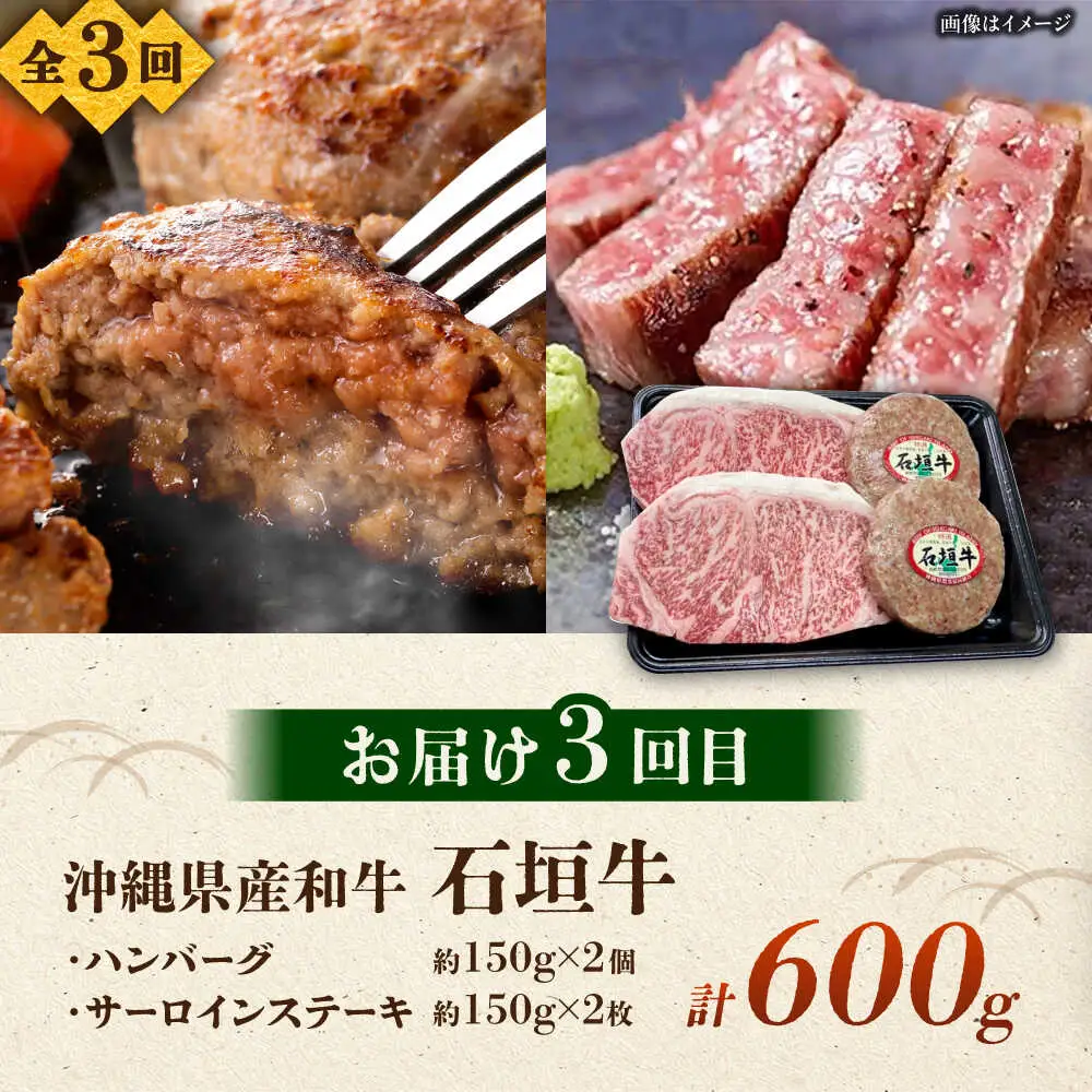 【全3回定期便】沖縄ブランド牛を堪能！贅沢お肉定期便【沖縄市】牛肉 和牛 サーロインステーキ 焼肉 赤身 沖縄市 / 肉のサブロー / お肉屋本店[BCZZ027]