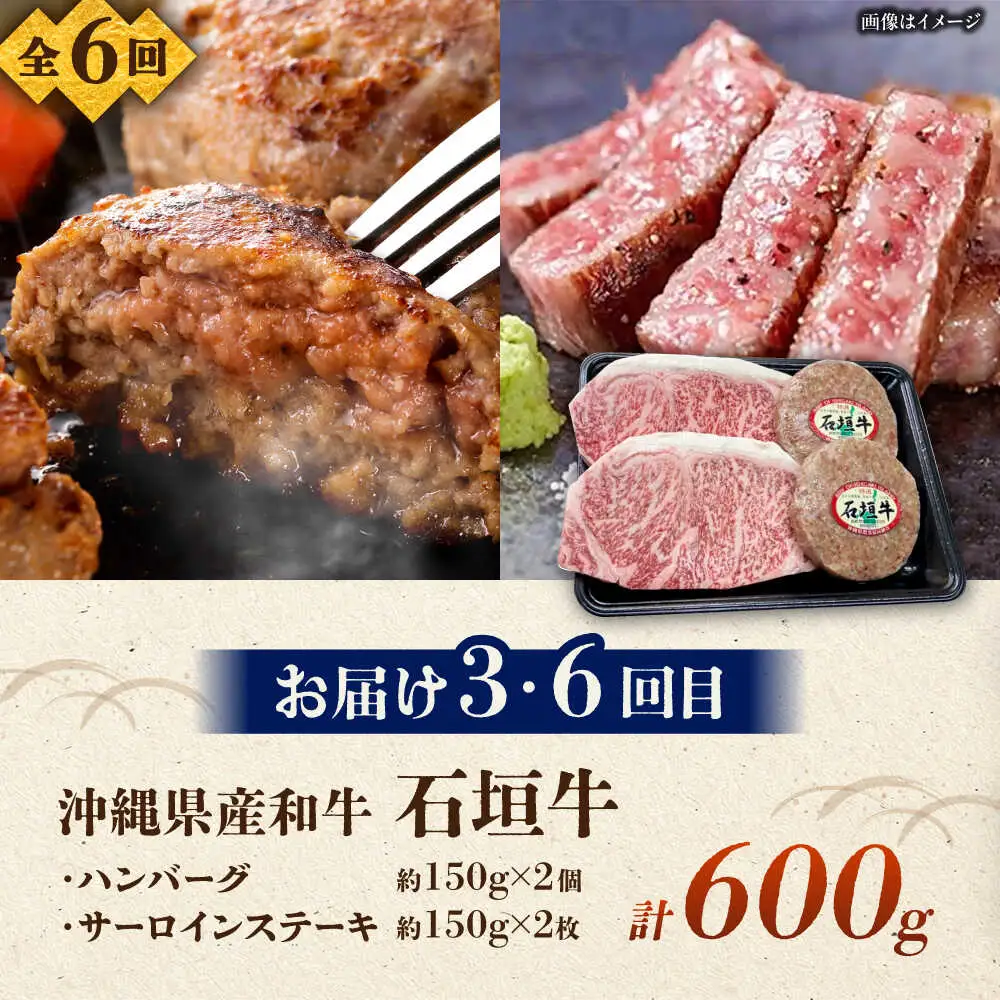 【全6回定期便】沖縄ブランド牛を堪能！贅沢お肉定期便【沖縄市】牛肉 和牛 サーロインステーキ 焼肉 赤身 沖縄市 / 肉のサブロー / お肉屋本店[BCZZ028]
