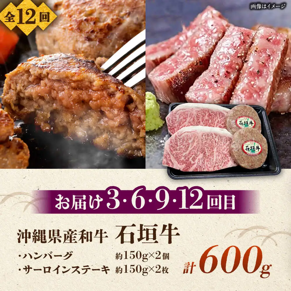 【全12回定期便】沖縄ブランド牛を堪能！贅沢お肉定期便【沖縄市】牛肉 和牛 サーロインステーキ 焼肉 赤身 沖縄市 / 肉のサブロー / お肉屋本店[BCZZ029]
