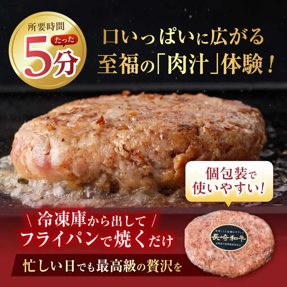 【6回定期便】【肉汁、洪水警報】長崎和牛 手ごねハンバーグ 1.5kg(150g×10個) / 国産 牛肉 和牛 肉 a5 ハンバーグ はんばーぐ 小分け / 諫早市 / 野中精肉店[AHCW135]