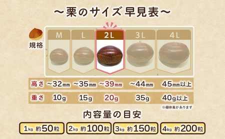 ＜生栗 2Lサイズ（約4kg）＞甘い 栗 マロン くり 和栗 栗ごはん モンブラン 栗きんとん 栗まんじゅう 甘露煮 スイーツ ケーキ 洋菓子 和菓子 お菓子 秋 味覚 産地直送 城川ファクトリー 愛媛県 西予市【冷蔵】『2026年9月中旬～10月上旬に順次発送予定』SSF0037