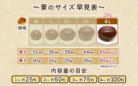 ＜とっても大きい！プレミア生栗 4Lサイズ（約4kg）＞甘い 栗 マロン 和栗 栗ごはん モンブラン 栗きんとん 甘露煮 スイーツ ケーキ 洋菓子 和菓子 お菓子 秋 味覚 産地直送 城川ファクトリー 愛媛県 西予市【冷蔵】『2026年9月中旬～10月上旬に順次発送予定』SSF0043