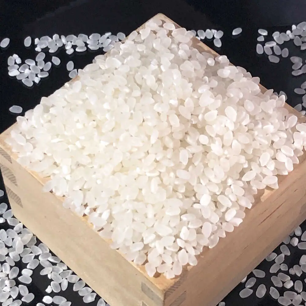 ＜令和7年産＞ コシヒカリ 10kg 白川町 / 健康農園[AWBW002]