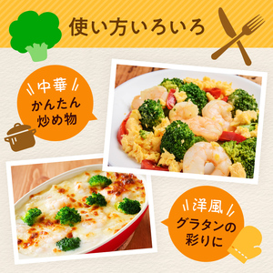 【6ヶ月定期便】北海道産 ブロッコリー 冷凍 2.4kg×6回 野菜 ブロッコリー mr1-1009 