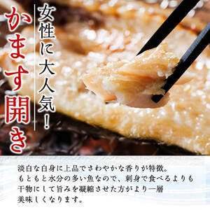 ＜定期便・全4回＞ギフト用品質！九州産 ひもの 季節の 定期便 (総計30枚) 定期 干物 鯛 かます さば サバ あじ アジ 開き 魚 海鮮 冷凍 ひもの 小分け 惣菜 おかず セット ギフト 贈り物 大分県 佐伯市【DH301】【ネクサ】