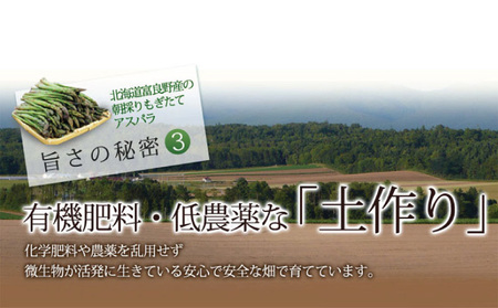 グリーンアスパラ 極太 3Lサイズ 富良野産 グリーンアスパラ【500g】【先行予約】