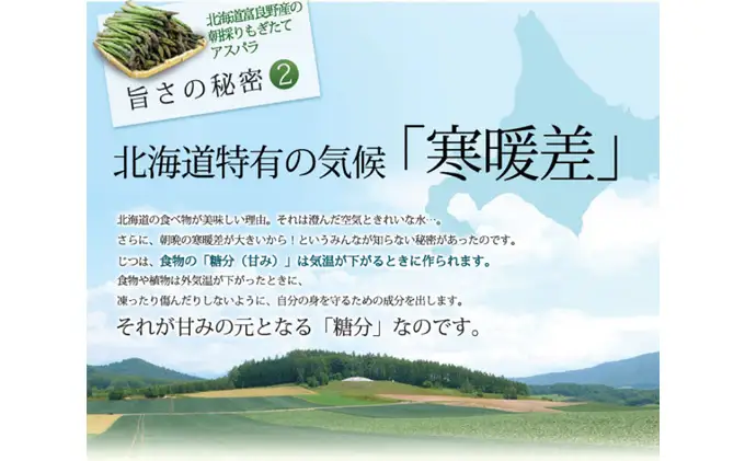 アスパラセット グリーン・ホワイト 富良野産 【2kg 100本前後】【先行予約】