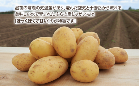 じゃがいも インカの目覚め 富良野産 じゃがいも【約3kg】