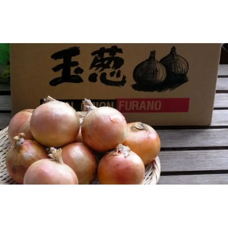 【2026年秋冬発送】北海道富良野産 たまねぎ 約10kg (Lサイズ前後) 野菜 玉ねぎ