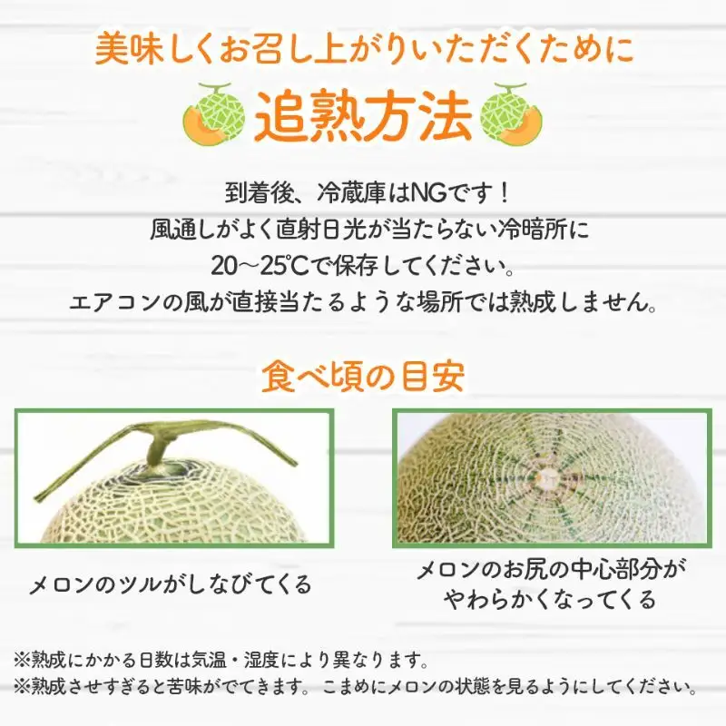 【数量限定！】北海道 富良野 メロン Lサイズ 1.3kg以上×1玉 フルーツ 果物