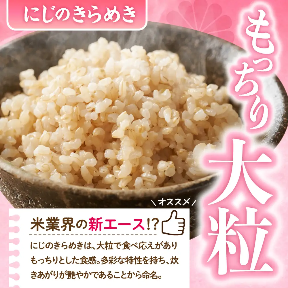 2027年2月発送 群馬県千代田町産 にじのきらめき 10kg(5kg×2袋) (玄米)