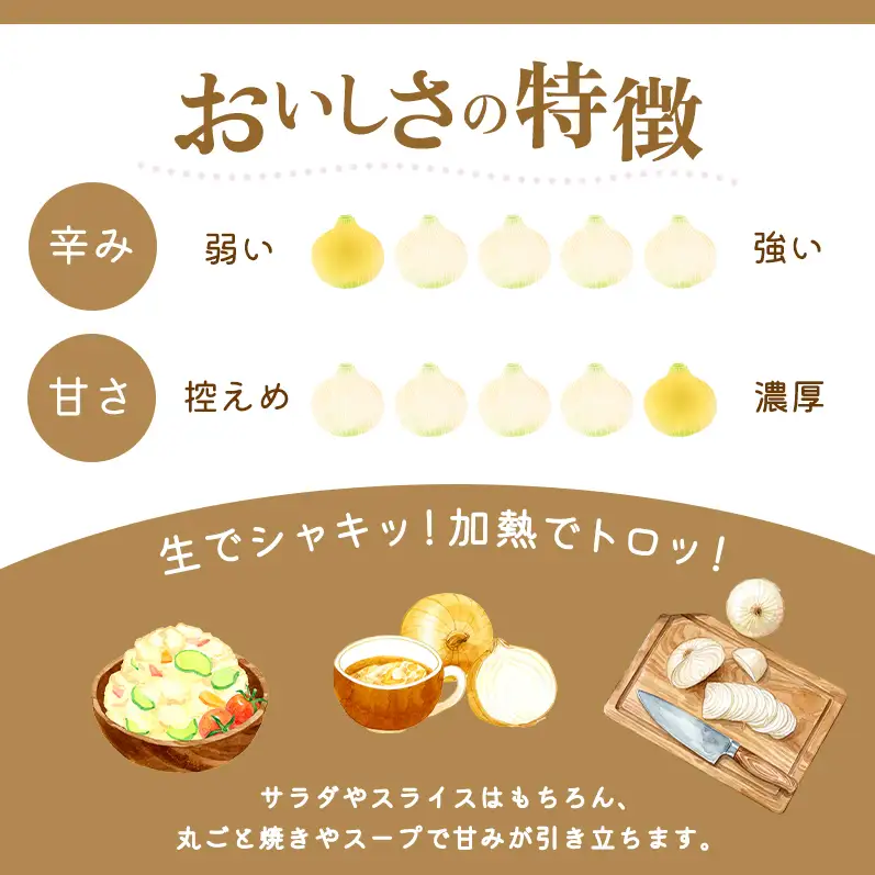 新玉ねぎ 淡路島産 10kg 山木さんち 甘い 新玉ねぎ