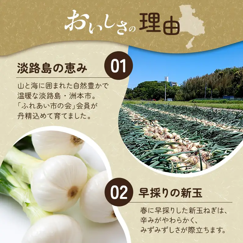 ふれあい市の会 早生 玉ねぎ 5kg タマネギ オニオン 野菜 旬 甘い 淡路島 洲本市