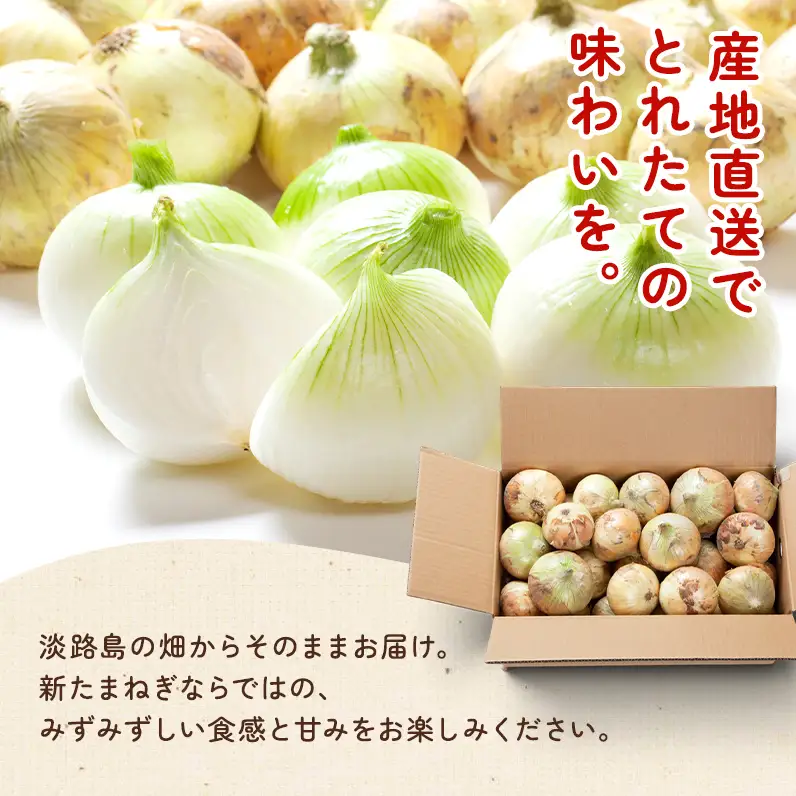 新玉ねぎ 淡路島産 8kg 島の里 甘い 新玉ねぎ