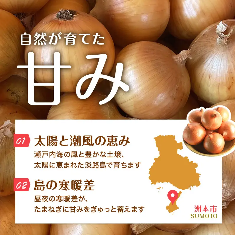 玉ねぎ 淡路島産 5kg みやざきファーム 甘い 玉ねぎ