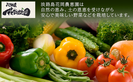 野菜 自然栽培 風土ベジ 5～7品 セット 淡路島産 野菜 淡路島 洲本市