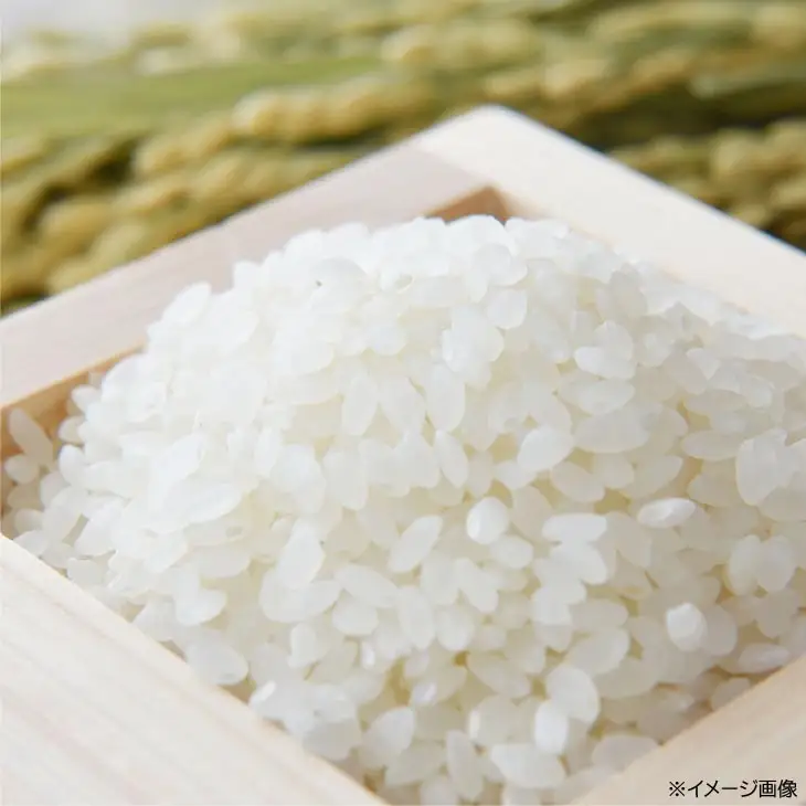 令和８年　淡路島産　新米にこまる ５kg ◆配送10月中旬以降