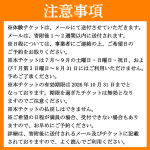 GOGOアドベンチャー ラフティング 吉野川1DAYコース 利用券3枚 観光【 ラフティング 】