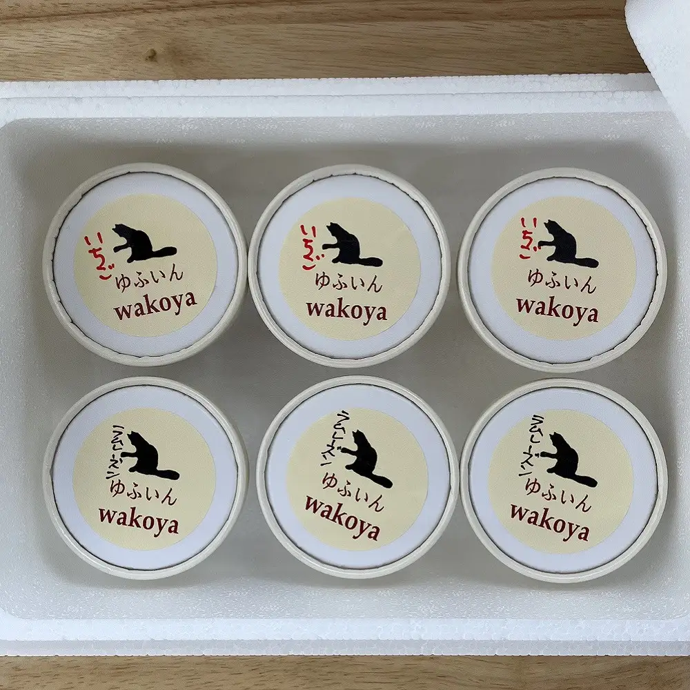 豆乳いちごアイス＆豆乳ラムレーズンアイスセット 約80g×各3個入り 計6個【ゆふいんwakoya】