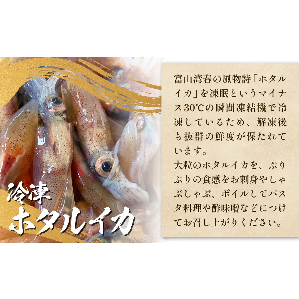 ほたるいか三昧 ホタルイカ イカ 漬け 素干し 富山県 氷見市 　ホタルイカ