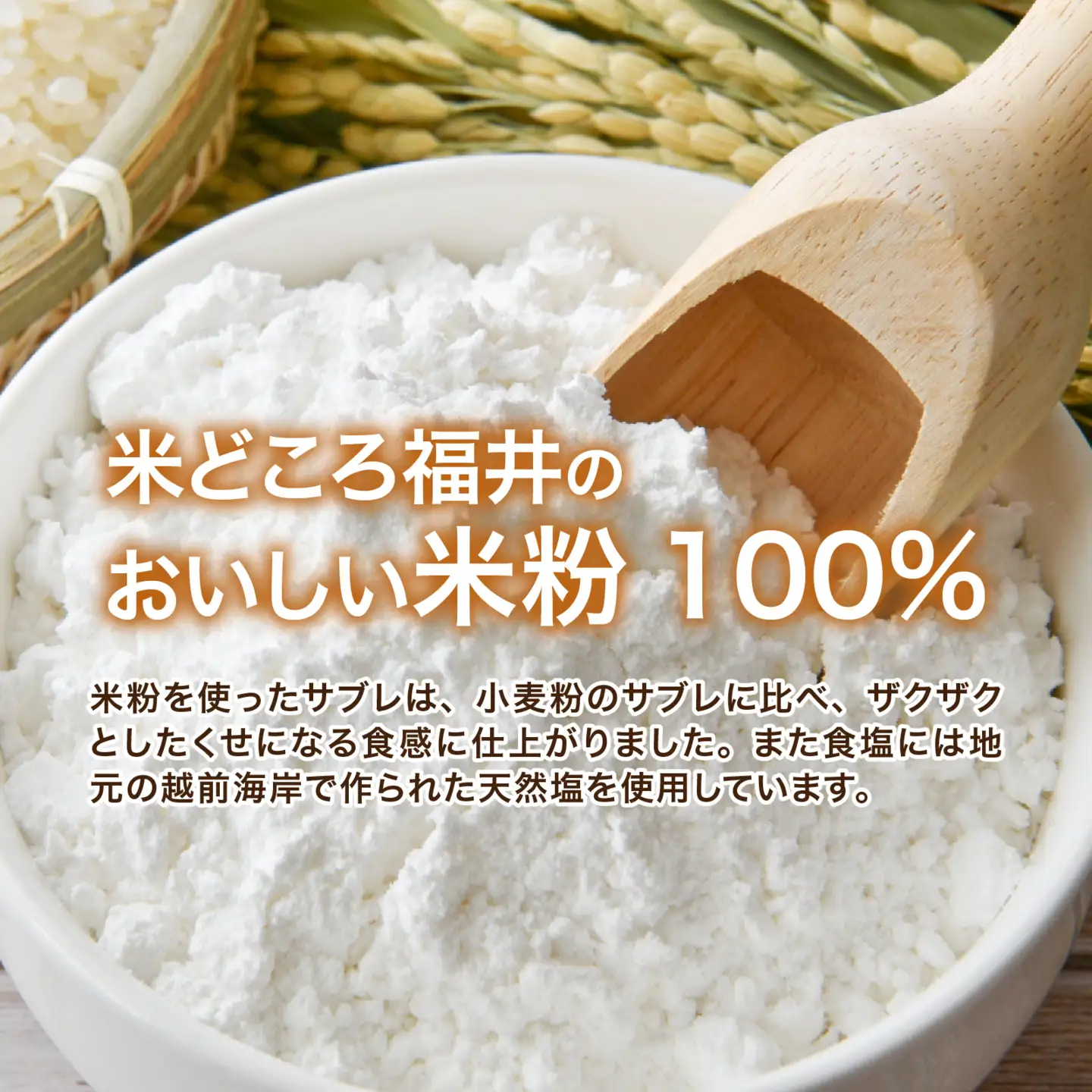 恐竜サブレ缶（大）1缶【ふるさと納税限定デザイン恐竜サブレ缶(ティラノ)】 [A-135007] / サブレ 恐竜 缶 米粉 米粉クッキー お菓子 クッキー おかし 菓子 焼き菓子 焼菓子 クッキー缶 バニラ ショコラ 抹茶 プレーン