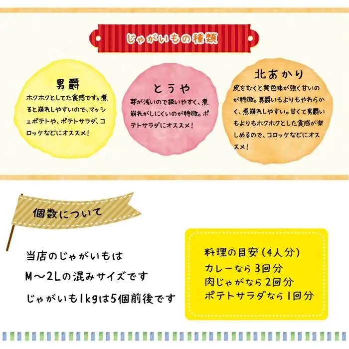 〈早期予約・数量限定〉北海道ニセコ町 訳ありじゃがいも北あかり10kg【2026年産】【3200902】