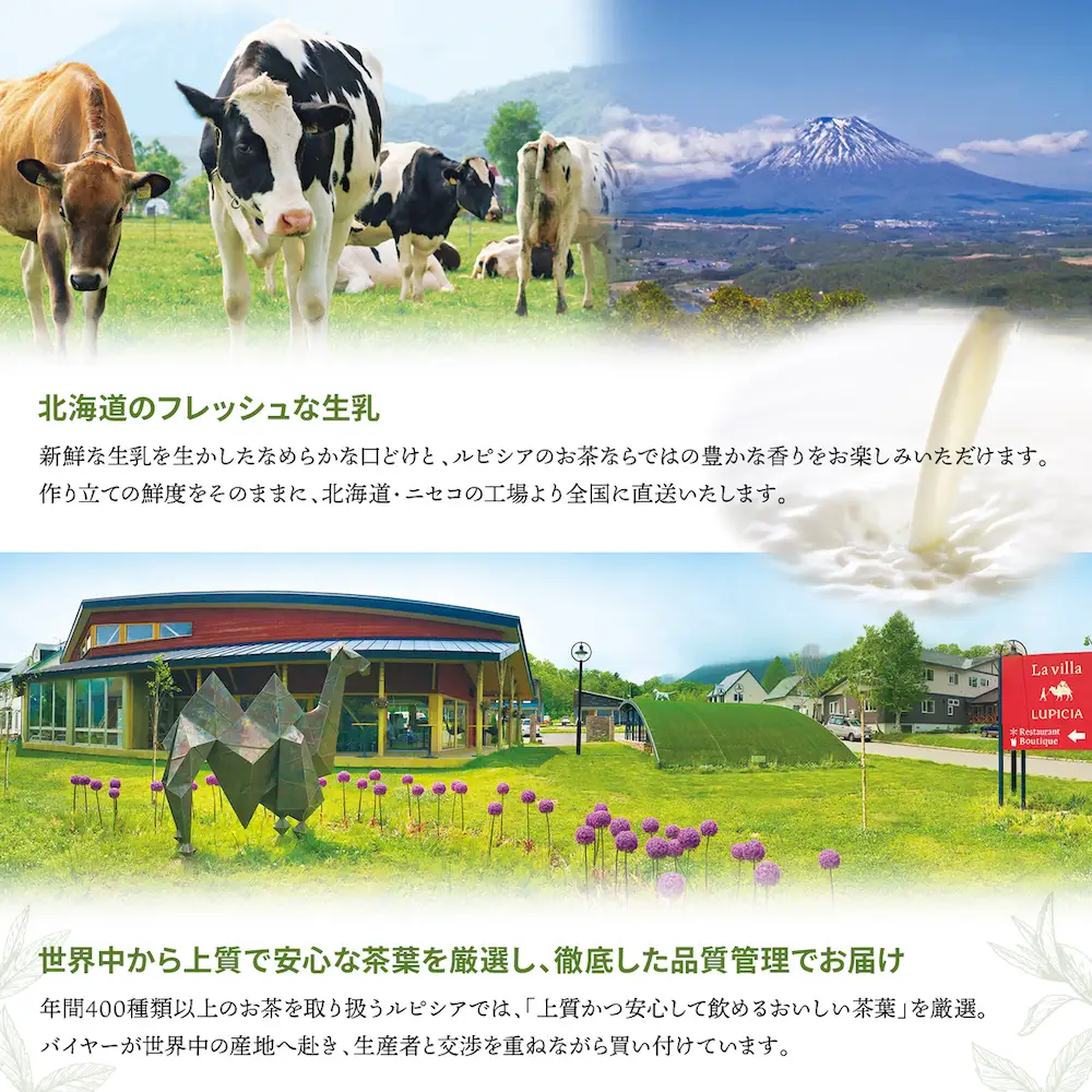 【北海道の生乳×ルピシアのお茶 アイス】グラスandソルベ（ロイヤルミルクティー ASSAM）４個セット【06144】