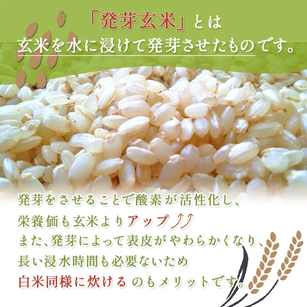 【3回定期便】【スーパー玄米！発芽発酵玄米】合鴨農法ななつぼし  【有機肥料/無農薬・無化学肥料･備蓄用】令和7年度米 1.8kg(450g×4袋) 水田環境鑑定・米食味鑑定士鑑定米【Yesclean加工品部門認定品】【3115502】