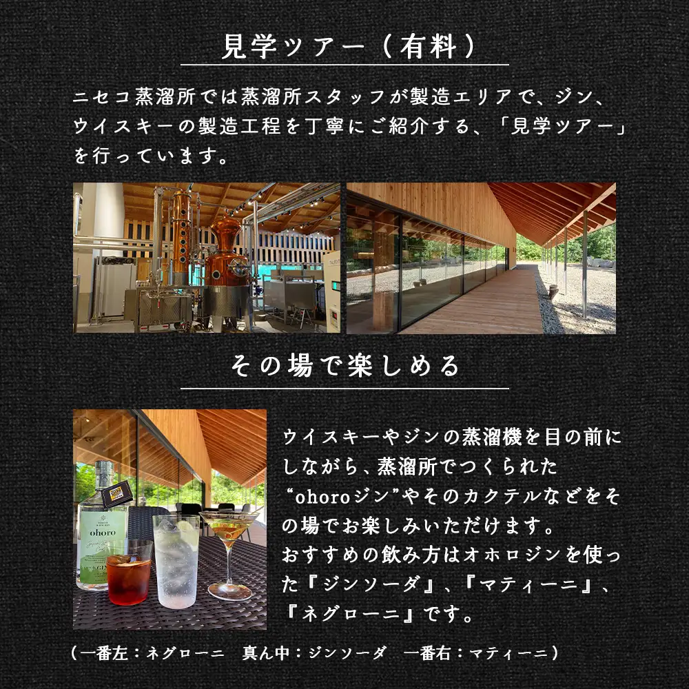【数量限定！】北海道ニセコ町産　ohoro GIN Limited Edition ニホンハッカ 700ml【09150】