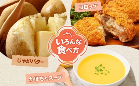 じゃがいも・かぼちゃ詰合せ 男爵北海道産 じゃがいも・かぼちゃ詰合せ【計約15kg】