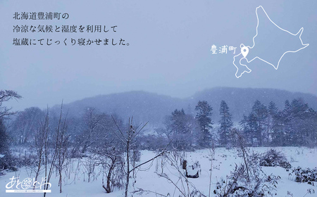 豊浦町の塩蔵で2年間以上寝かせた高級塩　天日結晶化塩　あとれとわの塩 塩蔵静置2年　80g× 6袋 