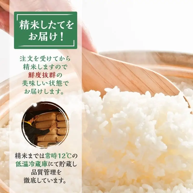 令和8年産 精米 ひとめぼれ 5kg