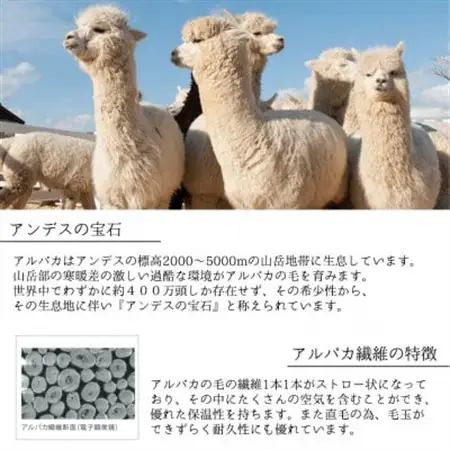 【シングルサイズ】アンデスの宝石 アルパカ100%(毛羽部分)毛布 140×200cm AL-S【1664935】