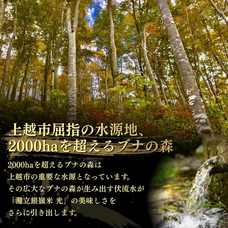 灘立銀嶺米 光 コシヒカリ 精米 15kg 上越産 コシヒカリ