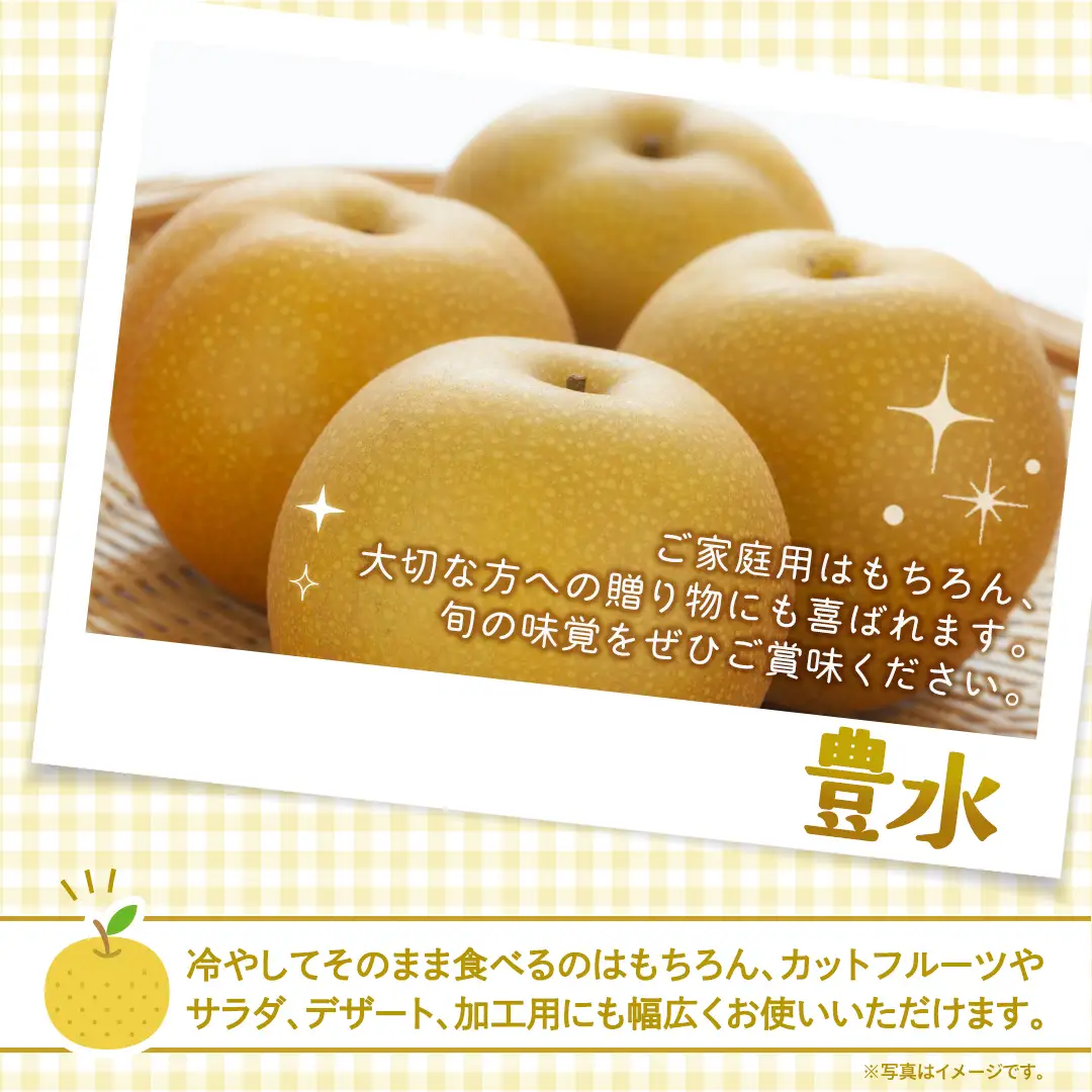 豊水 梨 約5kg 【2026年9月より発送開始】（茨城県共通返礼品 [梨]：大子町産）