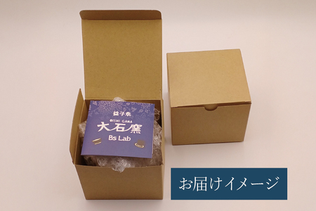 益子焼 恐竜マグカップ T-rex AMNH 5027 大石窯 益子町 BW004-6