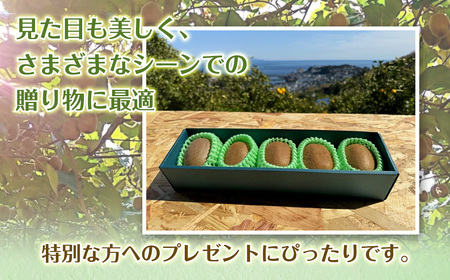 東伊豆・佐藤農園のキウイ　贈答用　5個入（2Lサイズ） 1330 ／ 佐藤農園 果物 フルーツ 農家直送 静岡県 東伊豆町
