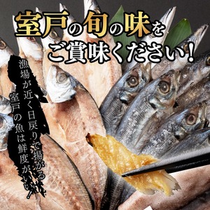 【奇数月定期便】いずま海産の黒潮干物頒布会【6回お届け】干物