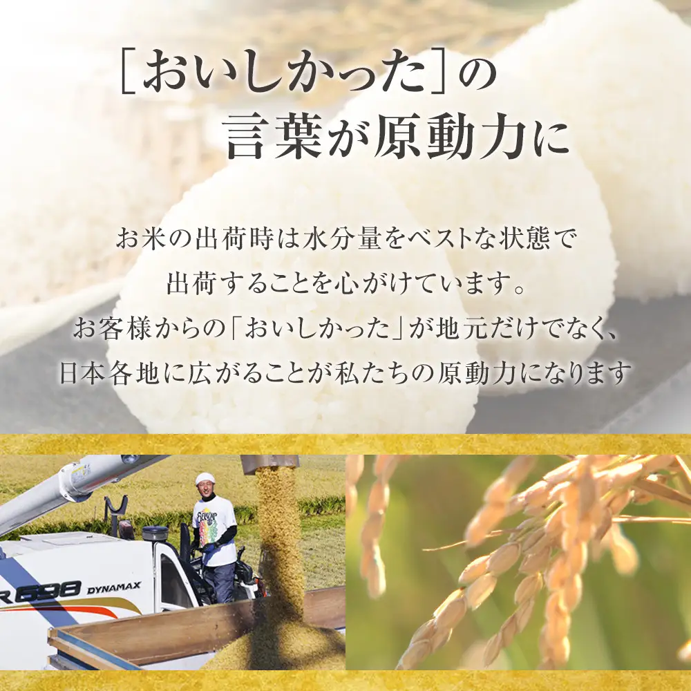 【12回定期便】白米 特A ななつぼし 5kg フロントライン 北海道 旭川市 定期便 精米 ブランド米 _05302