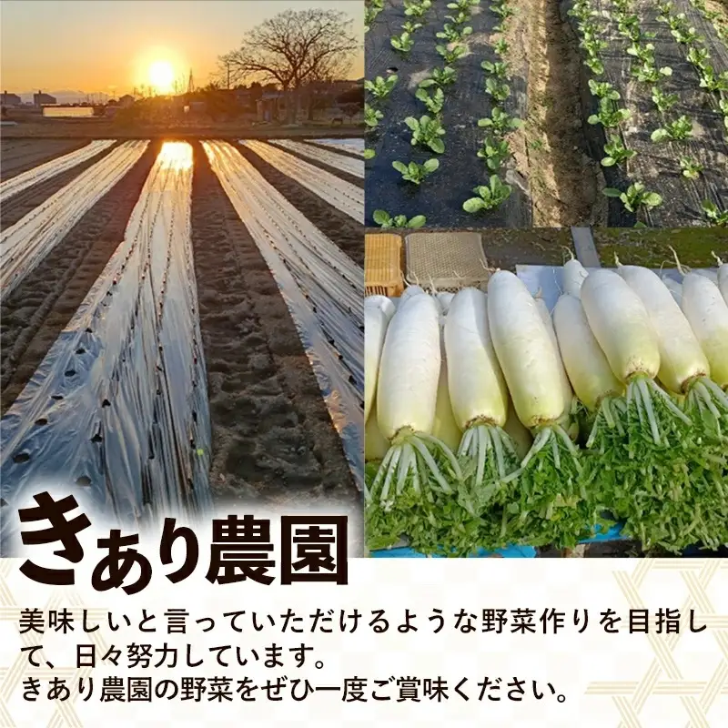 【きあり農園】2026年度 幸手市産 人参 10kg - 採れたて にんじん ニンジン 産地直送 野菜 ベジタブル 美味しい おいしい 根菜 煮物 炒め物 カレー サラダ おすすめ 送料無料 埼玉県 幸手市