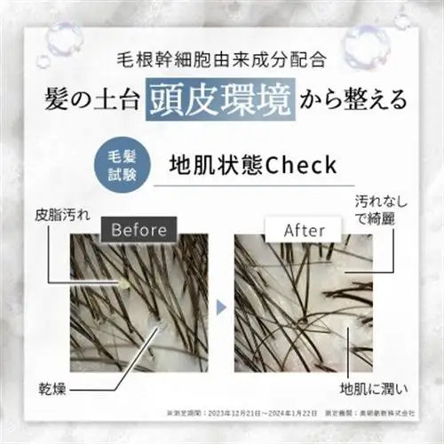 〈12本セット〉モイスチャーシャンプー(1年分)[LULUNA]ルルーナ【1662710】