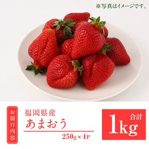 【2027年1月中旬以降順次発送予定】あまおう 約250g×2 as48-001 あまおう 苺