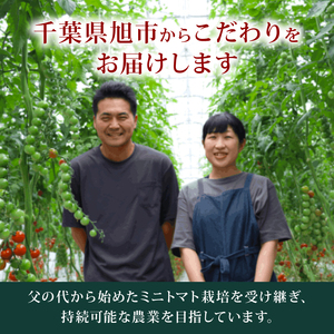 ミニトマト 約1.5kg 《訳あり》 2026年10月発送 【ミニトマト】